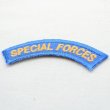 画像2: ミリタリーワッペン Special Forces アメリカ陸軍 ブルー 扇形 *メール便可