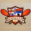 画像1: ハワイアンステッカー/シール ナルブルー(ハワイ州旗/エンブレム) *メール便可